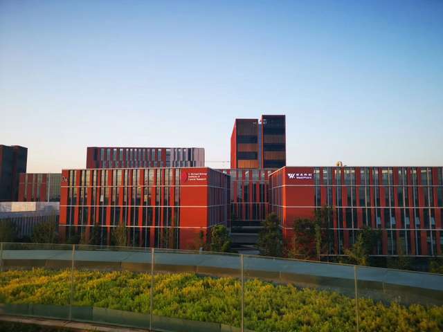 普陀区遗产继承法律咨询在线