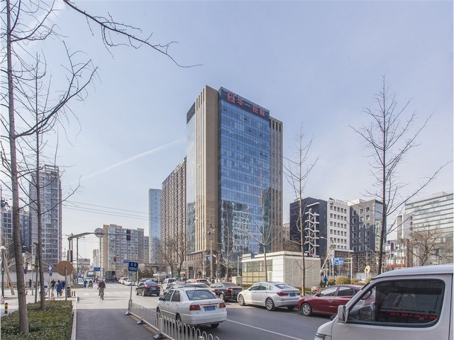 汉阳区植物出租